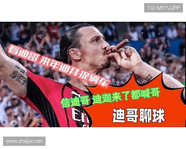 ✅体育直播🏆世界杯直播🏀NBA直播⚽- 广东紫金白溪保护区上千株紫纹兜兰迎盛花期- sports